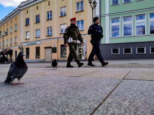 W tle patrol policjanta z żandarmem. Na pierwszym planie gołąb.