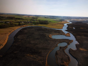 Spalone łąki w Biebrzańskim Parku Narodowym.
