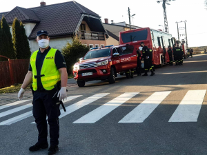 Policjant kieruje ruchem. W tle straż pożarna.