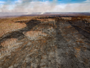 Zdjęcie ze śmigłowca Biebrzańskiego Parku Narodowego - pożar.