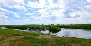 Przewodnik z psem służbowym idą kładką przez rzekę. W oddali widać pozoranta.