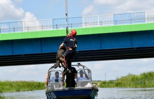 Przewodnik z psem służbowym wisi na linie na moście. Na wodzie jest policyjna łódka z dwoma policjantami i strażakiem.