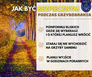 Zdjęcie przedstawia plansze informującą o tym jak być bezpiecznym w lesie.