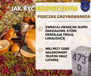 Zdjęcie przedstawia plansze informującą o tym jak być bezpiecznym w lesie.