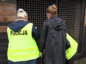 policjanci pracują na miejscu hodowli