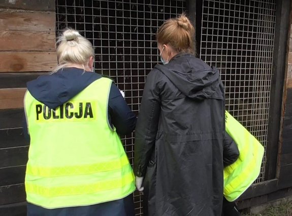 policjanci pracują na miejscu hodowli