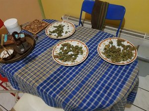 zabezpieczona marihuana