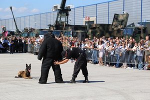 pokaz tresury policyjnych psów