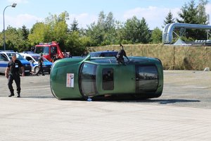 pokaz tresury policyjnych psów