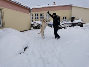 Dzielnicowy podczas zabawy z psem