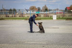 uczestnicy targów