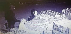zrzuty z monitoringu