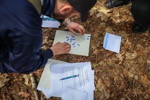 uczestnicy terenowej gry