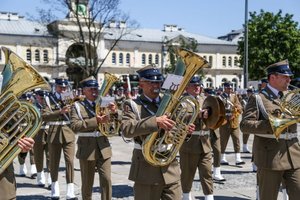 Dzień weterana – oddając cześć wszystkim, którzy służyli i walczyli