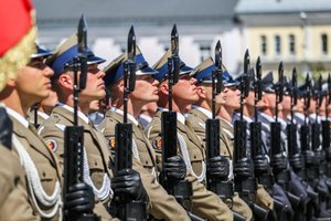 Dzień weterana – oddając cześć wszystkim, którzy służyli i walczyli