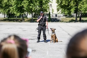 Tysiące niecodziennych gości w naszych jednostkach